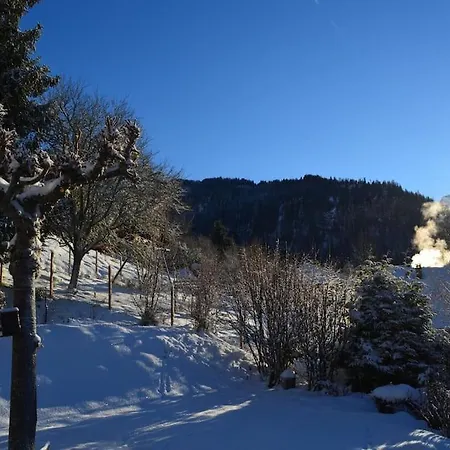 Studio, Plein Sud, Sport Et Relax Apartamento Montriond