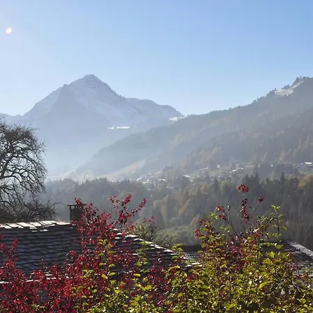 Studio, Plein Sud, Sport Et Relax * Montriond